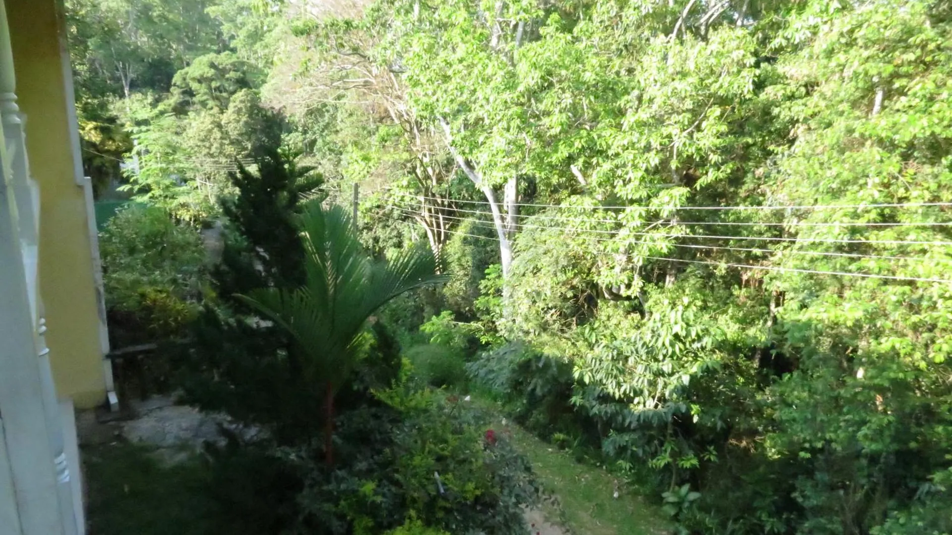 Hantana Forest Reserve Inn Kandy Sri Lanka