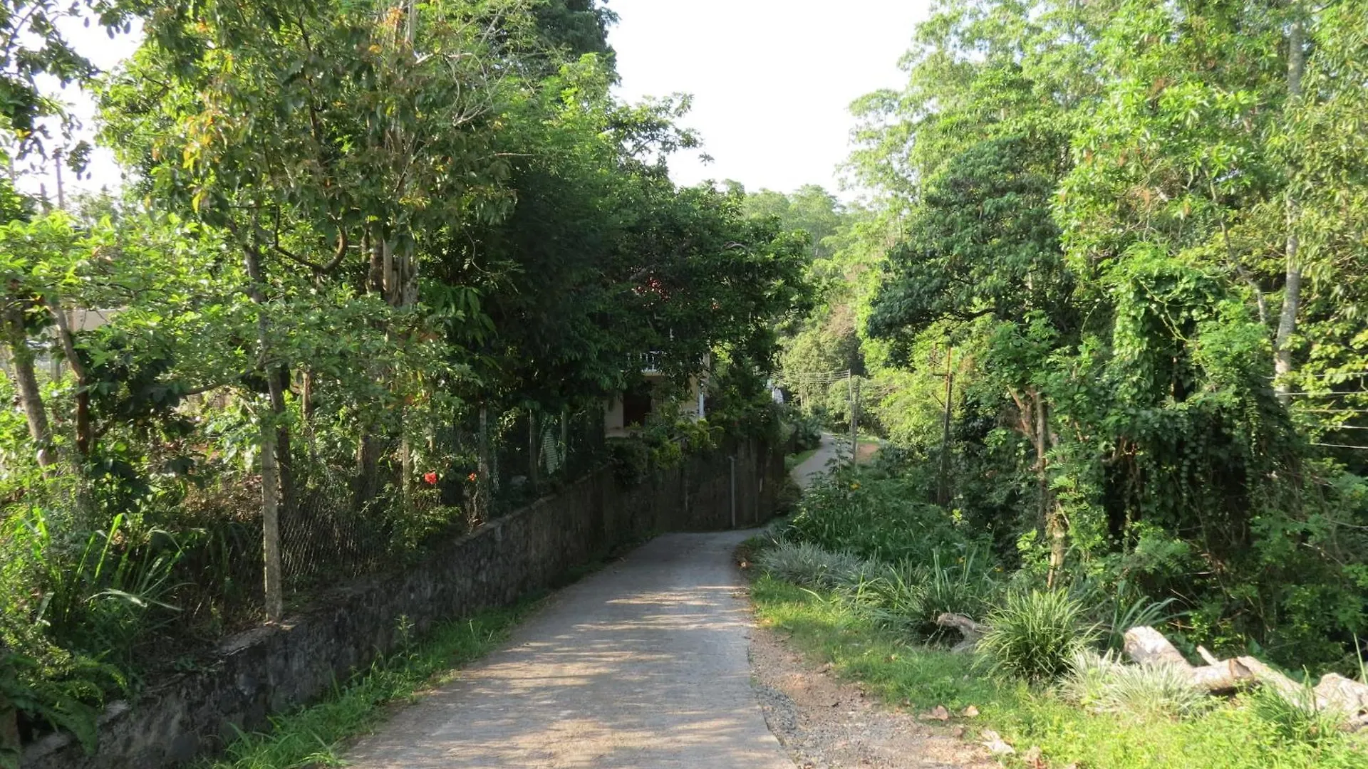 Hantana Forest Reserve Inn Kandy 0*,  Sri Lanka